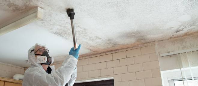 Mold Removal Cleanup and Remediation Services - The MACK Group