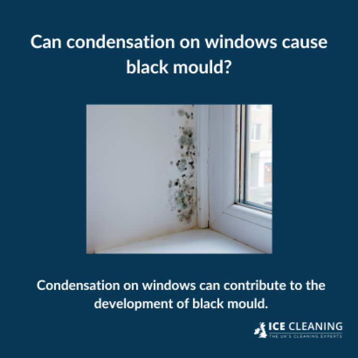 How To Prevent Condensation And Mould