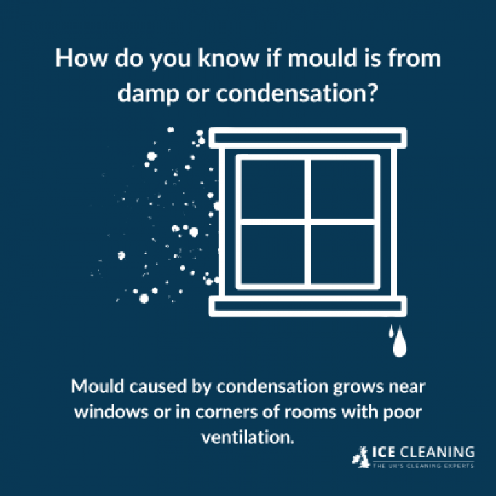 How To Prevent Condensation And Mould