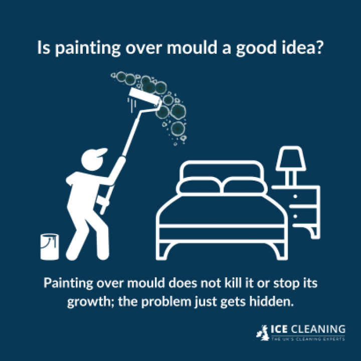 Can You Paint Over Mould?