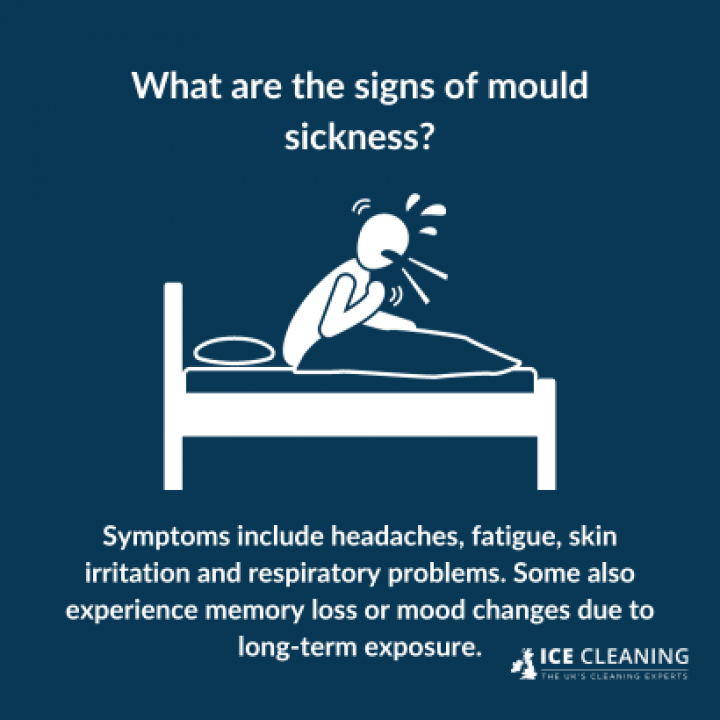 how-does-mould-affect-your-mental-health