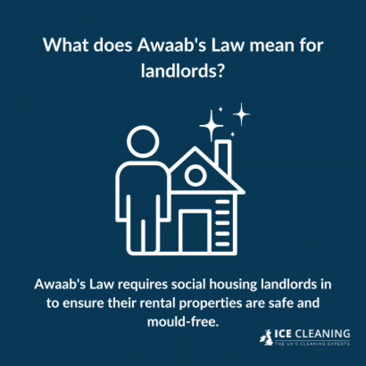 What Is Awaab's Law And How Does It Apply To Landlords?