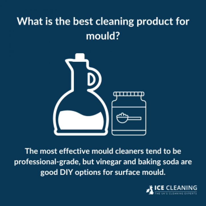 Why Mould Cleaning Products Do Not Work