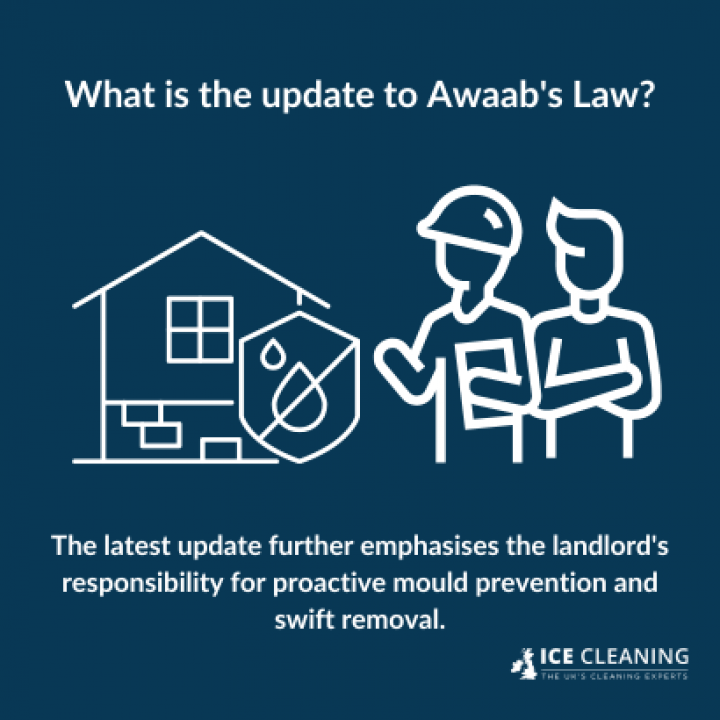 What Is Awaab's Law And How Does It Apply To Landlords?